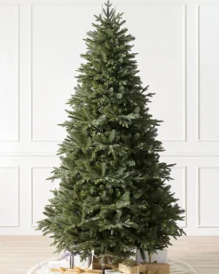 Balsam Hill Saratoga Spruce Trees Hot