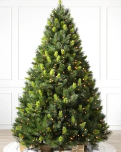 Balsam Hill Scotch Pine Trees Best