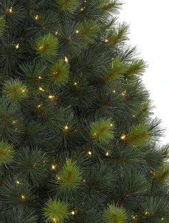 Balsam Hill Scotch Pine Trees Best