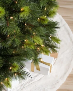 Balsam Hill Scotch Pine Trees Best