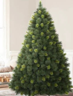 Balsam Hill Scotch Pine Trees Best