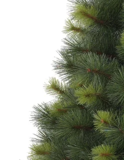 Balsam Hill Scotch Pine Trees Best