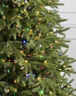 Balsam Hill Silverado Slim® Trees Online