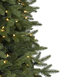 Balsam Hill Silverado Slim® Trees Online