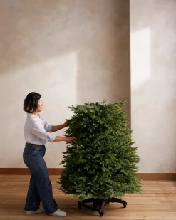 Balsam Hill Silverado Slim® Trees Online