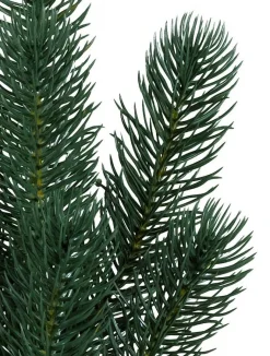 Balsam Hill Sonoma Slim® Trees Hot