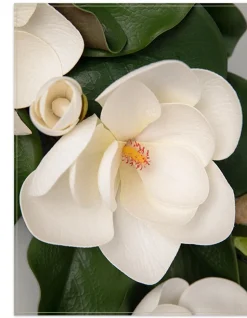 Balsam Hill Spring Magnolia Foliage
