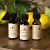 Balsam Hill Spring Scents Of The Season Cartridge Set Sale