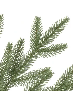 Balsam Hill Stratford Spruce Trees