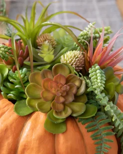 Balsam Hill Succulent Harvest Pumpkin Foliage New