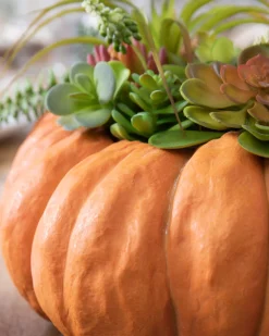 Balsam Hill Succulent Harvest Pumpkin Foliage New