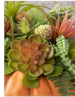 Balsam Hill Succulent Harvest Pumpkin Foliage New