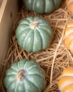 Balsam Hill Tabletop Heirloom Pumpkins Online
