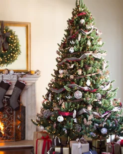 Balsam Hill Vermont White Spruce® ReNEW™ New
