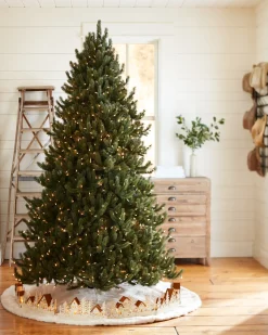Balsam Hill Vermont White Spruce® ReNEW™ New
