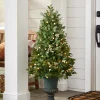 Balsam Hill White Berry Cypress Potted Tree Best