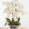 Balsam Hill White Phalaenopsis Orchids Foliage Sale