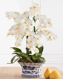 Balsam Hill White Phalaenopsis Orchids Foliage Sale