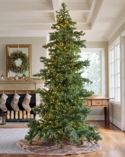 Balsam Hill Yukon Spruce® ReNEW™ Best