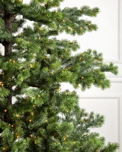Balsam Hill Yukon Spruce® Trees Hot