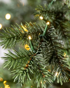 Balsam Hill Yukon Spruce® Trees Hot