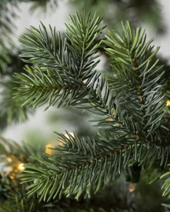 Balsam Hill Yukon Spruce® Trees Hot